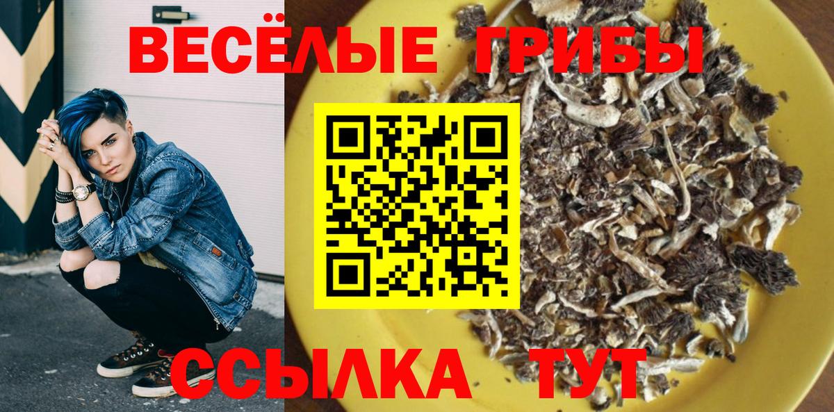 Галлюциногенные грибы GOLDEN TEACHER Осинники