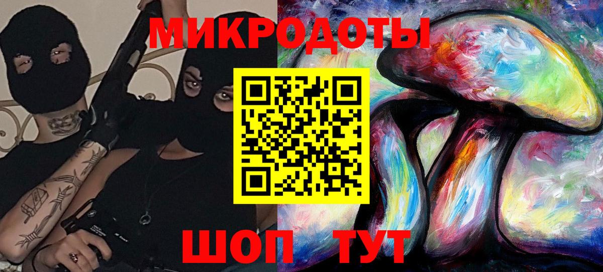 Галлюциногенные грибы Psilocybe  Вход с VPN  Осинники 
